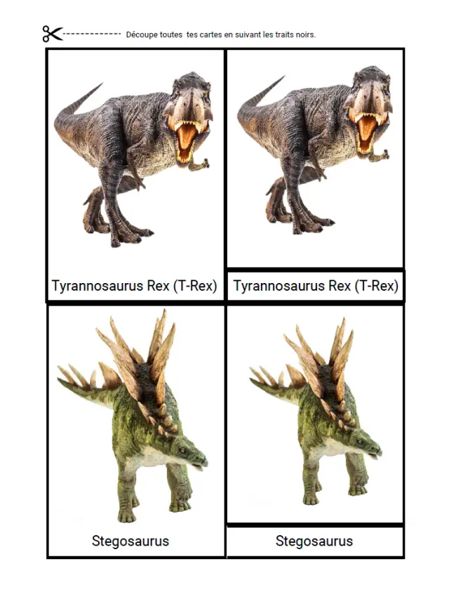 Nomenclature Dinosaures